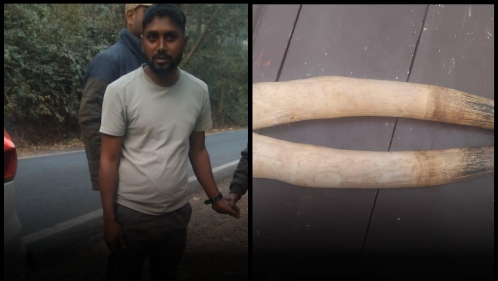 নাকা চেকিংয়ে ধরা পড়ল হাতির দাঁত ‘চোর’