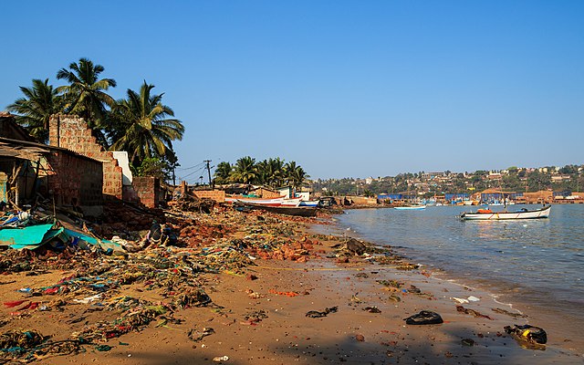 গোয়ার সমুদ্রের জলে বিষ