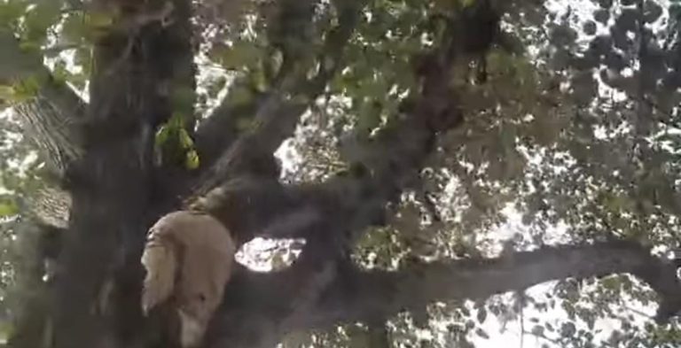শান্তিপুরের দৃশ‍্য